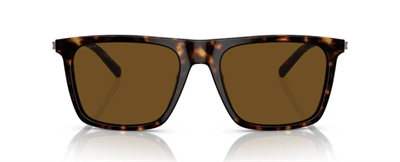 GÜNEŞ GÖZLÜĞÜ BVLGARI BV7039 56 504/AN