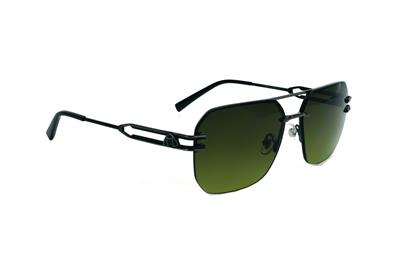 GÜNEŞ GÖZLÜĞÜ ELEGANCE EG 1954 C6