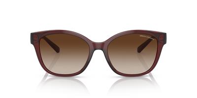 GÜNEŞ GÖZLÜĞÜ A.EXCHANGE AX4127S 82411354