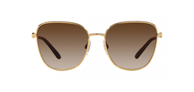 GÜNEŞ GÖZLÜĞÜ DOLCE&GABBANA DG2293 02/1356