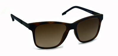 GÜNEŞ GÖZLÜĞÜ DUNLOP DG 3596 C2