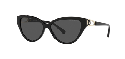 GÜNEŞ GÖZLÜĞÜ E.ARMANİ EA4192 50178757