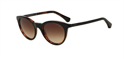 GÜNEŞ GÖZLÜĞÜ E.ARMANİ EA406149504913