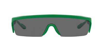 GÜNEŞ GÖZLÜĞÜ E.ARMANİ EA4204U 60118736