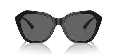 GÜNEŞ GÖZLÜĞÜ E.ARMANİ EA4221 50178756