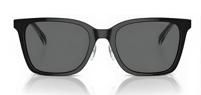 GÜNEŞ GÖZLÜĞÜ E.ARMANİ EA4226D 50178755