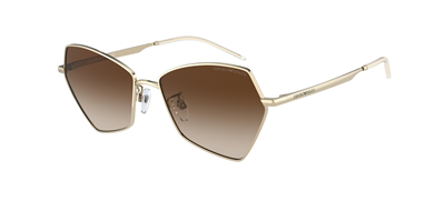 GÜNEŞ GÖZLÜĞÜ E.ARMANİ EA212756301313