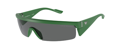 GÜNEŞ GÖZLÜĞÜ E.ARMANİ EA4204U 60118736