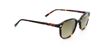 GÜNEŞ GÖZLÜĞÜ ELEGANCE EG 1915 C3