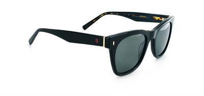 GÜNEŞ GÖZLÜĞÜ ELEGANCE EG 1916 C2