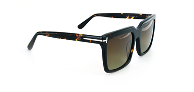 GÜNEŞ GÖZLÜĞÜ ELEGANCE EG 1917 C2