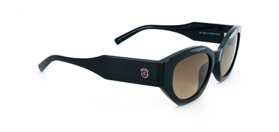 GÜNEŞ GÖZLÜĞÜ ELEGANCE EG 1921 C1