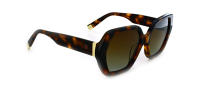 GÜNEŞ GÖZLÜĞÜ ELEGANCE EG 1935 C2