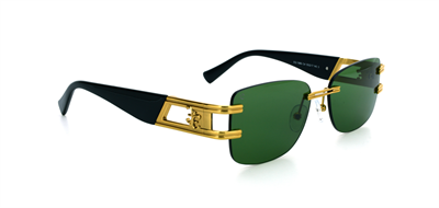 GÜNEŞ GÖZLÜĞÜ ELEGANCE EG 1980 C4