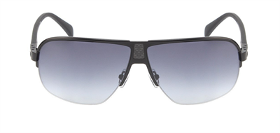 GÜNEŞ GÖZLÜĞÜ FERFARİNİ FR 1340 400 28