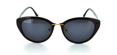 GÜNEŞ GÖZLÜĞÜ FLOTT FG 0052 C1