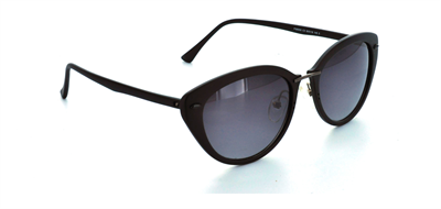 GÜNEŞ GÖZLÜĞÜ FLOTT FG 0052 C3