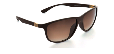 GÜNEŞ GÖZLÜĞÜ FLOTT FG 0061 C3