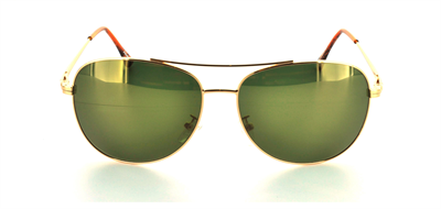 GÜNEŞ GÖZLÜĞÜ FLOTT FG 0100 C3