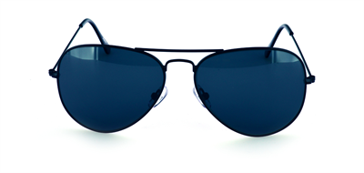 GÜNEŞ GÖZLÜĞÜ FLOTT FG 0106 C8