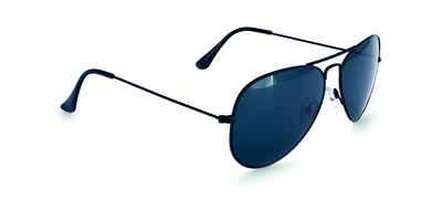 GÜNEŞ GÖZLÜĞÜ FLOTT FG 0106 C8