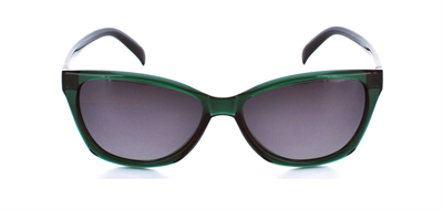 GÜNEŞ GÖZLÜĞÜ FLOTT FG 0139 C4