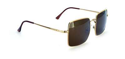 GÜNEŞ GÖZLÜĞÜ FLOTT FG 0143 C5