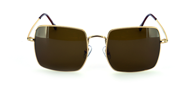 GÜNEŞ GÖZLÜĞÜ FLOTT FG 0143 C5