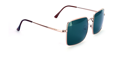 GÜNEŞ GÖZLÜĞÜ FLOTT FG 0143 C6