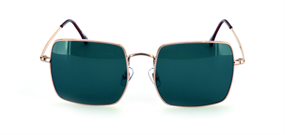 GÜNEŞ GÖZLÜĞÜ FLOTT FG 0143 C6