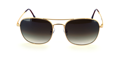 GÜNEŞ GÖZLÜĞÜ FLOTT FG 0147 C2