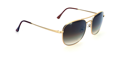 GÜNEŞ GÖZLÜĞÜ FLOTT FG 0147 C2