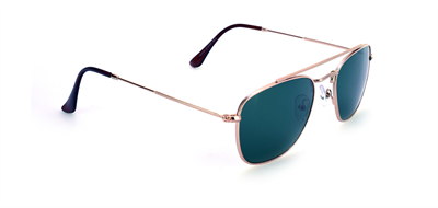 GÜNEŞ GÖZLÜĞÜ FLOTT FG 0149 C5