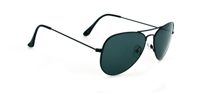 GÜNEŞ GÖZLÜĞÜ FLOTT FG 0154 C2