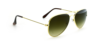 GÜNEŞ GÖZLÜĞÜ FLOTT FG 0163 C1