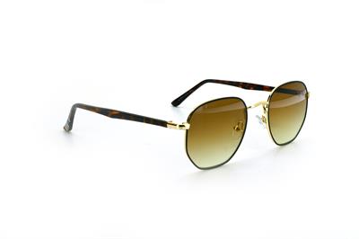 GÜNEŞ GÖZLÜĞÜ FLOTT FG 0165 C1