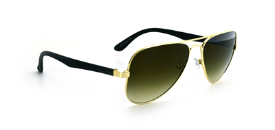 GÜNEŞ GÖZLÜĞÜ FLOTT FG 0173 C1