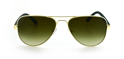 GÜNEŞ GÖZLÜĞÜ FLOTT FG 0173 C1