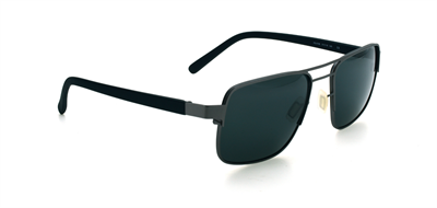 GÜNEŞ GÖZLÜĞÜ FLOTT FG 0196 C3