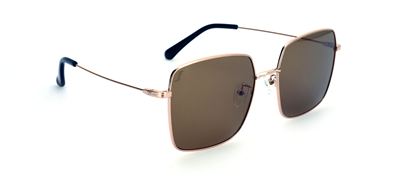 GÜNEŞ GÖZLÜĞÜ FLOTT FG 10039 C29