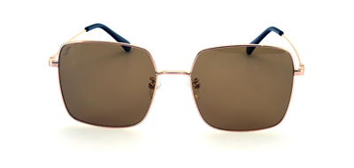 GÜNEŞ GÖZLÜĞÜ FLOTT FG 10039 C29