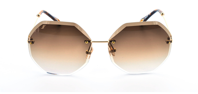 GÜNEŞ GÖZLÜĞÜ FLOTT FG 31198 C101