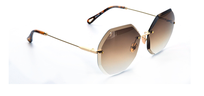 GÜNEŞ GÖZLÜĞÜ FLOTT FG 31198 C101