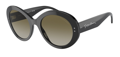 GÜNEŞ GÖZLÜĞÜ G.ARMANİ AR8174 50018E53