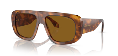 GÜNEŞ GÖZLÜĞÜ G.ARMANİ AR8183 59883356