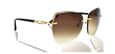 GÜNEŞ GÖZLÜĞÜ MOLLERUS MLG 0010 C3