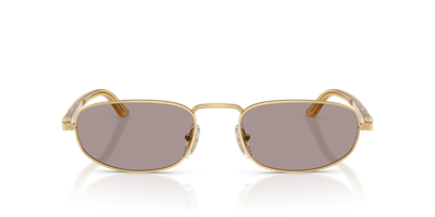 GÜNEŞ GÖZLÜĞÜ PERSOL PO1028S 11295356