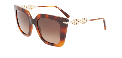 GÜNEŞ GÖZLÜĞÜ SALVATORE FERRAGAMO SF1041S-238