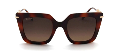 GÜNEŞ GÖZLÜĞÜ SALVATORE FERRAGAMO SF1041S-238