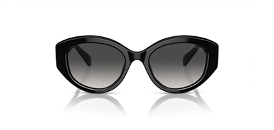 GÜNEŞ GÖZLÜĞÜ SWAROVSKİ SK6005 10018G53